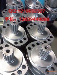 低速大扭矩液壓馬達bm6產品圖,低速大扭矩液壓馬達bm6產品圖生產廠家,低速大扭矩液壓馬達bm6產品圖價格